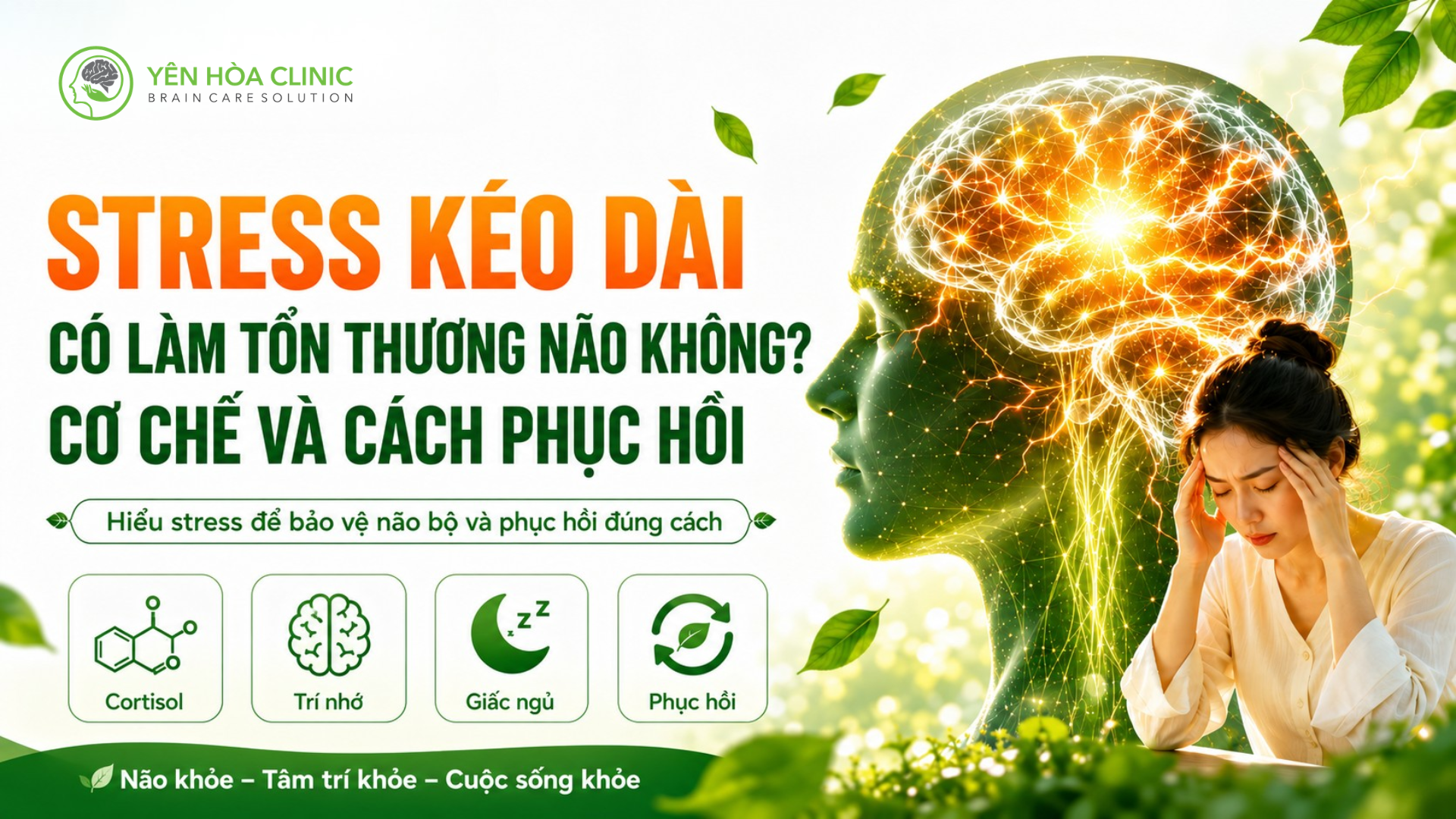 Stress Ảnh Hưởng Đến Não Bộ Như Thế Nào? Cơ Chế Căng Thẳng Và Cách Bảo Vệ Sức Khỏe Tinh Thần 